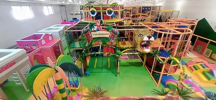 Indoor Play Jungle Gym: Unleash Your Child's Wild Side