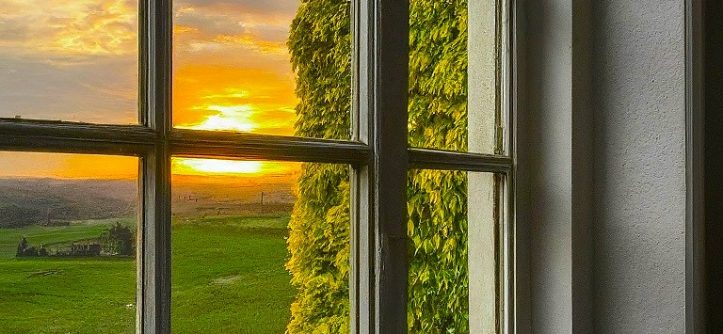 Find the Perfect Windows for Your Home