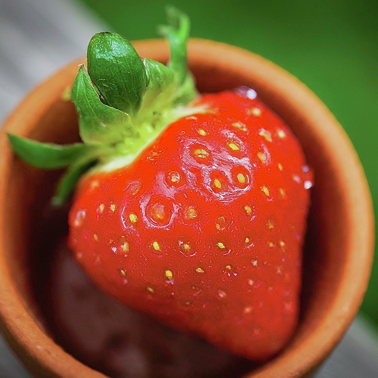 One Strawberries in a Pots