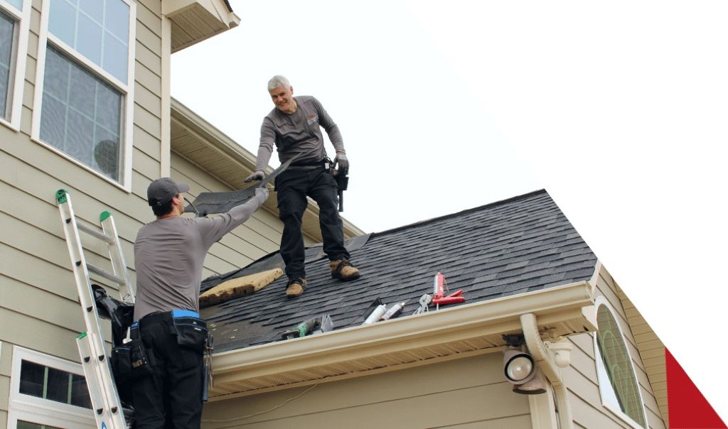 Top 5 Roof Maintenance Tips for Philadelphia County