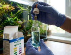 Aquarist adding chemical drops into a test tube of aquarium water.