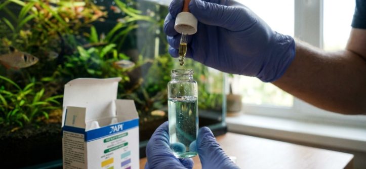 Aquarist adding chemical drops into a test tube of aquarium water.