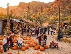 Discover top fall festivals and family outings in Phoenix! Explore pumpkin patches, hayrides, and seasonal weekend events across the Valley for all ages.